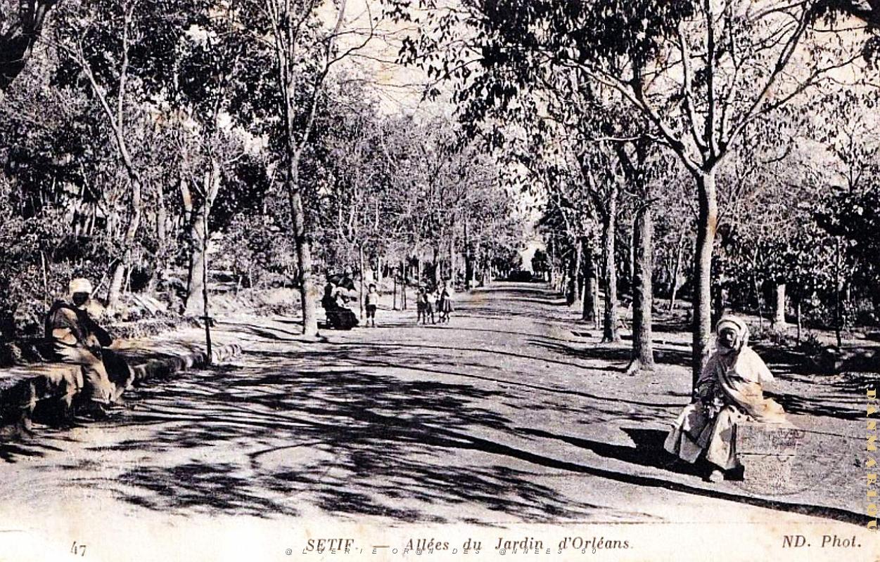 2972- Setif - Jardins d'Orleans - Allees - 1915.jpg